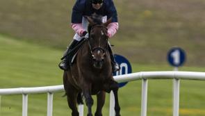 Hot streak continues on track for Limerick racing connections