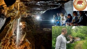 Aillwee Cave and its Birds of Prey Centre is a very special place in the heart of the Burren