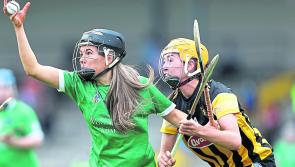 Limerick face Cork in Munster senior camogie final
