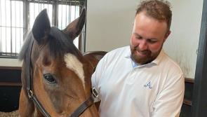Champion golfer meets champion hurdler as Shane Lowry visits Istabraq in Limerick