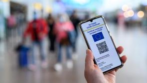 Restaurant owner publicly calls COVID certificate a 'Nazipass' 