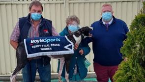 Buck books Irish Greyhound Derby Trial Stake ticket with Limerick win