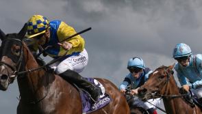 Winners flow for Limerick horse racing connections