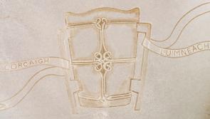 WATCH: The Liam MacCarthy cup as you've never seen it before - unique artwork is revealed!