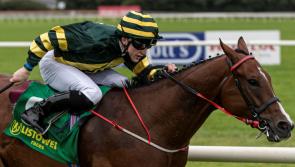 Athea trainer Eoin McCarthy enjoys successful Listowel Harvest Festival