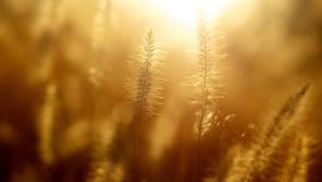 Weekend weather forecast for Ireland with better weather on the way as high pressure builds