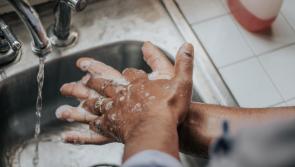 Survey finds only half of Irish people wash their hands for recommended amount of time