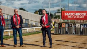 Irish St Leger gets underway with an entry of 96 runners in Limerick Greyhound Stadium