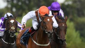Limerick jockey dreams of Breeders' Cup glory in the USA tonight