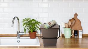 MyWaste&rsquo;s Food Waste Bin Road Show to start in Limerick this Thursday