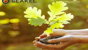 SEAKEL&rsquo;s goal is to transition into a Net Zero Carbon environment