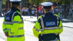 &euro;70,000 worth of suspected cocaine and cannabis seized by Garda&iacute;
