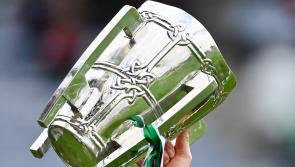 Civic reception for Limerick's All-Ireland hurling heroes postponed