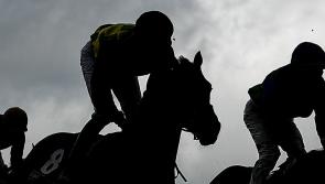 Betting Column: 'Royal' can reign supreme in Fighting Fifth