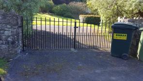 Specially made gates stolen from Limerick park 