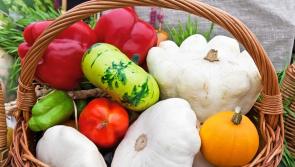 Your home vegetable garden made easy in association with Garden Seeds Market
