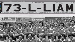 Limited edition 1973 Limerick hurling number plate to benefit players training fund