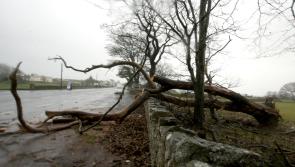Met &Eacute;ireann issues status yellow wind warning for seven counties this afternoon