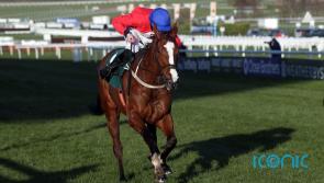 Willie Mullins to unleash superstars at Leopardstown over next few days 