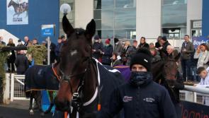 WATCH: Limerick Racecourse hosts third day of Christmas Racing Festival