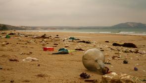 Make this #2minutebeachclean part of your New Year&rsquo;s resolution