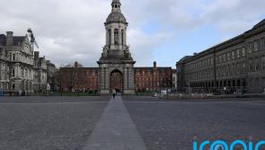 A number of Irish universities to offer paid domestic violence leave to staff in 2022