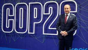 Taoiseach was warned failure to introduce carbon markets would set back the post-pandemic recovery