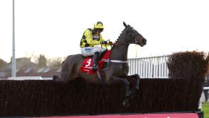 Shishkin and Energumene in line for Clarence House clash