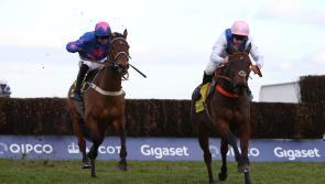 Waiting Patiently primed for Lingfield mission