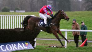 National Hunt date the ultimate aim for Pats Fancy