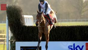 Bob Olinger set to head straight to Cheltenham