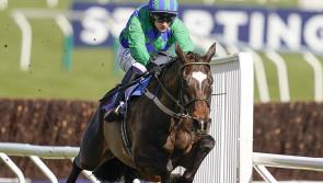 Mullins to leave it late before making Appreciate It decision