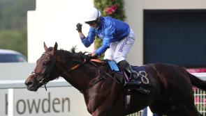 Bin Suroor in no rush to decide on Real World&rsquo;s Saudi Cup bid