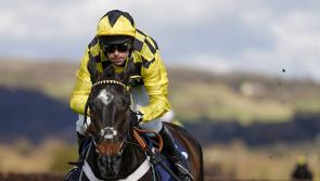 Shishkin poised to begin Champion Chase build up