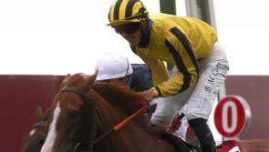 No rush for Murtagh to map out Sonnyboyliston plan