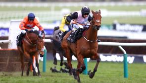 Elliott full of respect for Bob Olinger and Dysart Dynamo