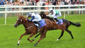 Zain Claudette on course for Nell Gwyn return
