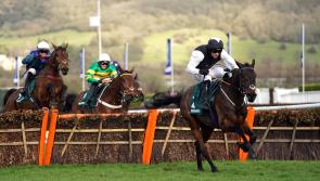 Flooring Porter retains Stayers&rsquo; Hurdle title in style