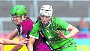Limerick camogie team to face Offaly in crunch championship clash named