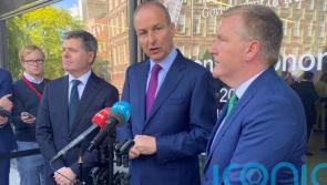 Ireland should not rely on corporate tax receipts, finance minister warns