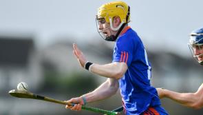 Mary Immaculate and UCD hurlers share 12-goals as Limerick side exit Fitzgibbon Cup