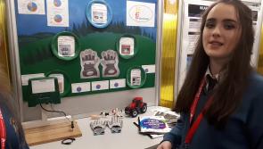WATCH: Limerick students show off innovative Farm Hand safety product at Young Scientist