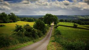 'Local connectivity is vital' - Humphreys announces &euro;11m funding to repair rural roads