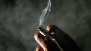Over 50% of current drug users in higher education at risk of harm from use, survey finds