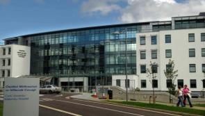 Inquiry underway after organs of Irish babies incinerated abroad