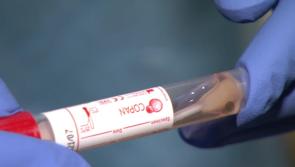 Omicron wave 'may have peaked' says immunology professor 