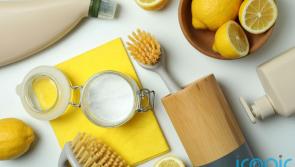 #CleanTok | Seven of the best time-saving cleaning hacks we learned from TikTok