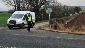 Gardai seek witnesses to daylight assault on teenage girl in Co Kilkenny