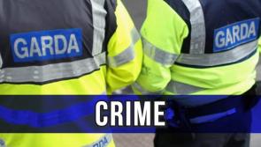 Garda&iacute; respond as teenage girl is attacked while out exercising 