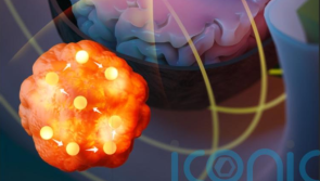 Tiny magnetic seeds can be used to heat and kill brain and prostate tumors, says study